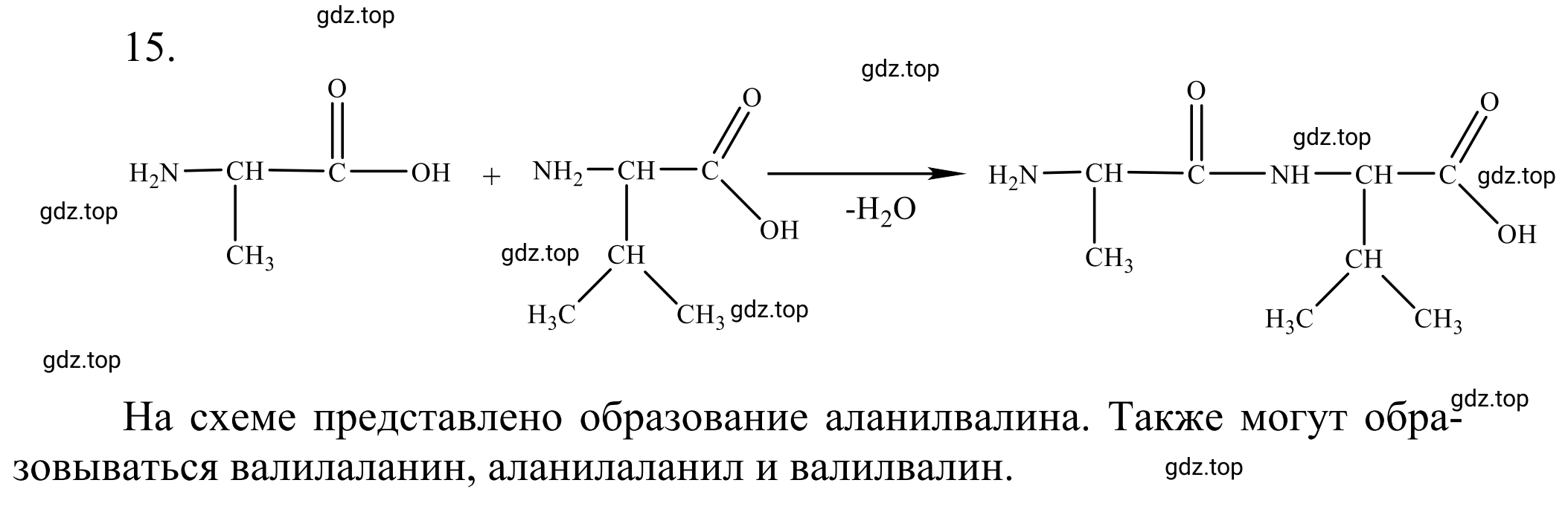 Решение номер 15 (страница 363) гдз по химии 10 класс Габриелян, Остроумов, учебник