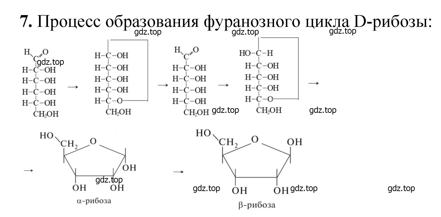 Решение номер 7 (страница 340) гдз по химии 10 класс Ерёмин, Кузьменко, учебник