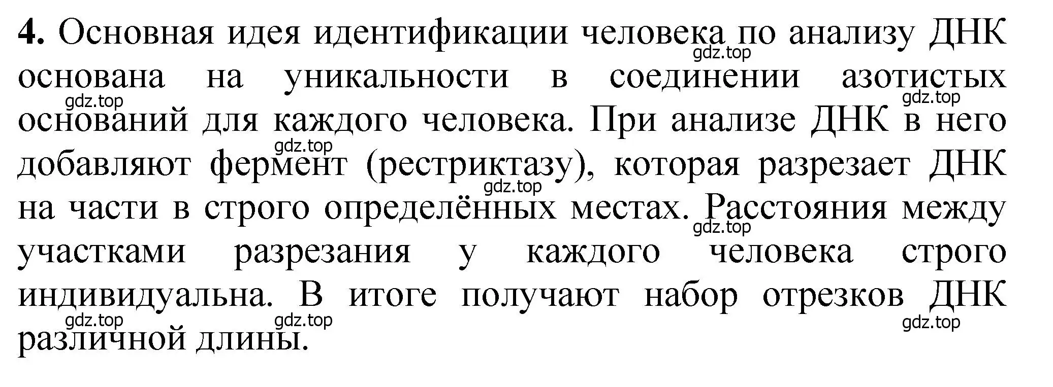 Решение номер 4 (страница 390) гдз по химии 10 класс Ерёмин, Кузьменко, учебник