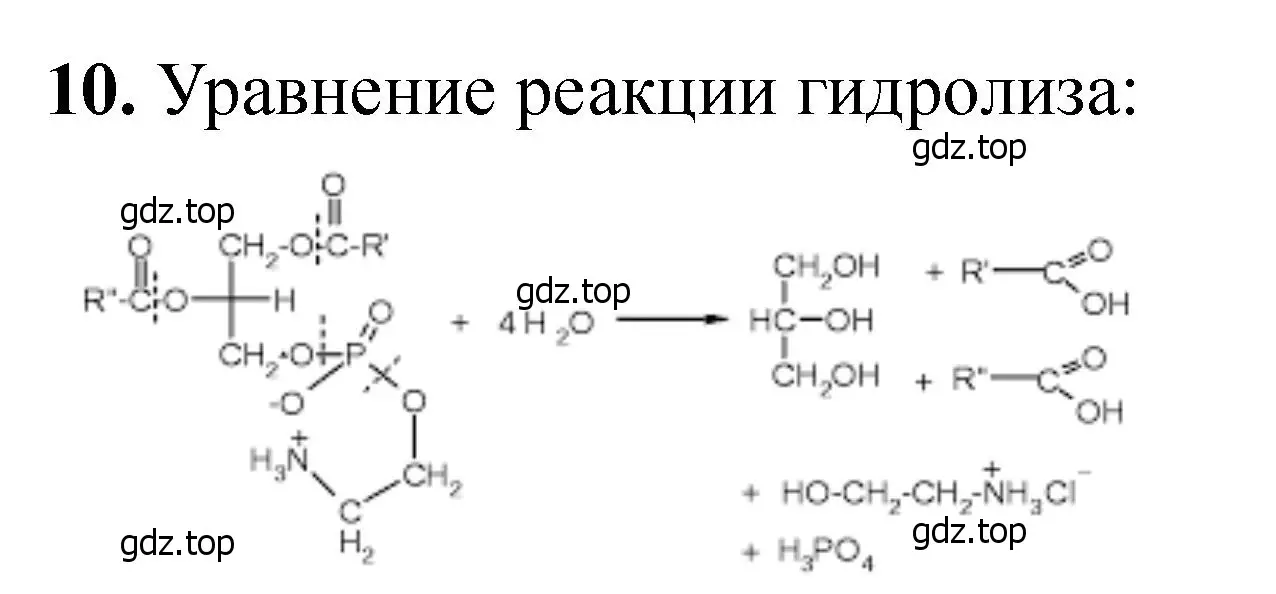 Решение номер 10 (страница 372) гдз по химии 11 класс Ерёмин, Кузьменко, учебник