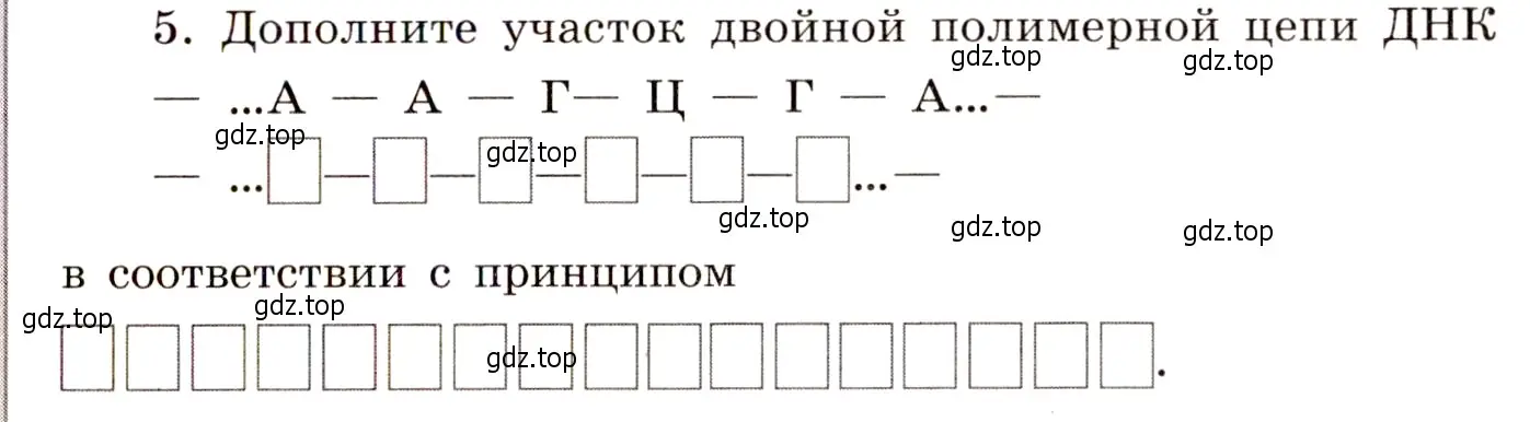 Условие номер 5 (страница 25) гдз по химии 11 класс Габриелян, Сладков, рабочая тетрадь