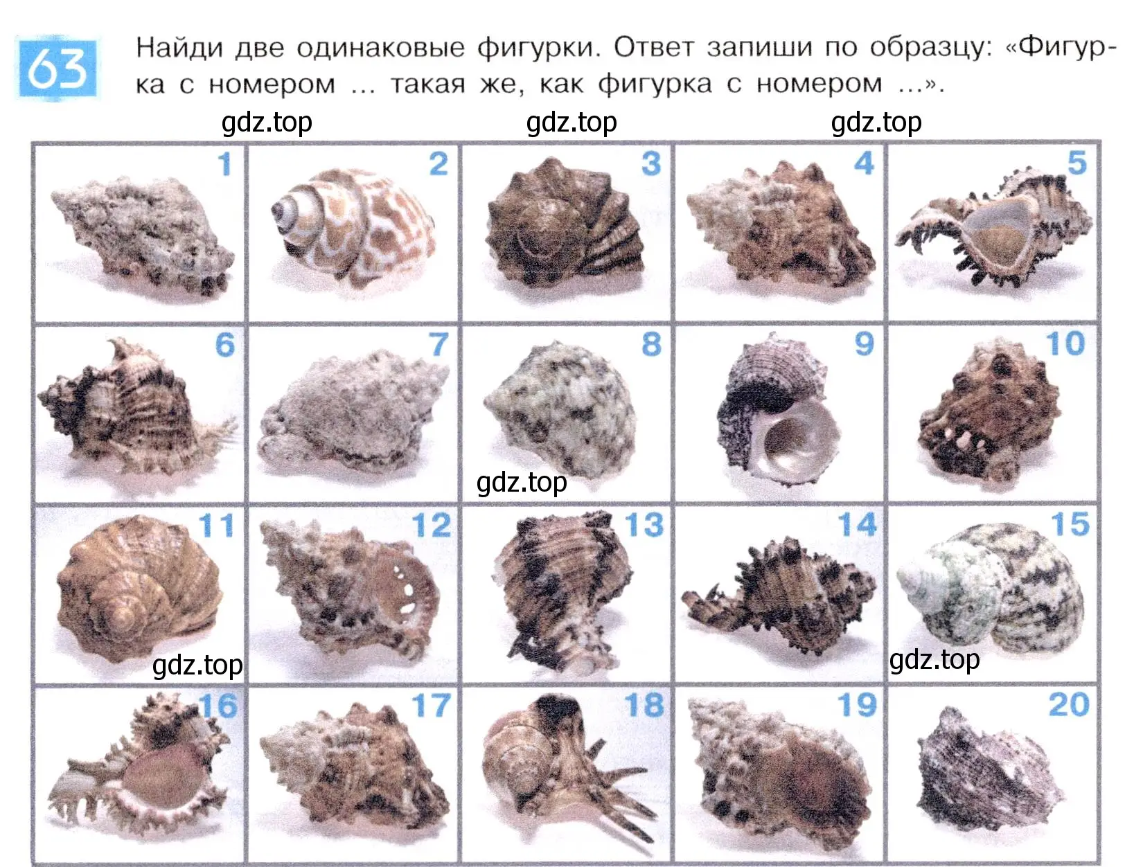 Условие номер 63 (страница 43) гдз по информатике 5 класс Семенов, Рудченко, учебник