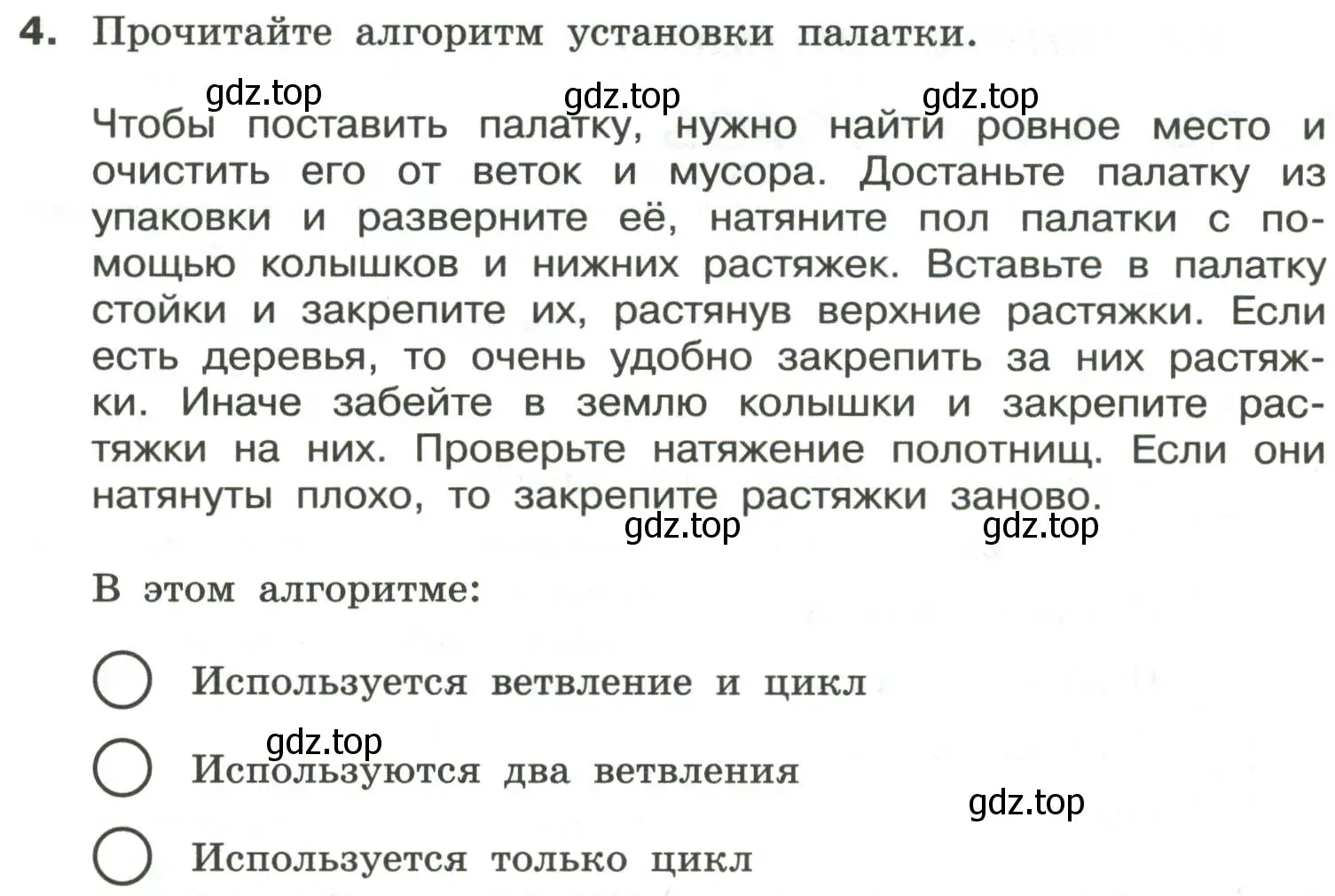 Условие номер 4 (страница 46) гдз по информатике 6 класс Босова, Босова, самостоятельные и контрольные работы