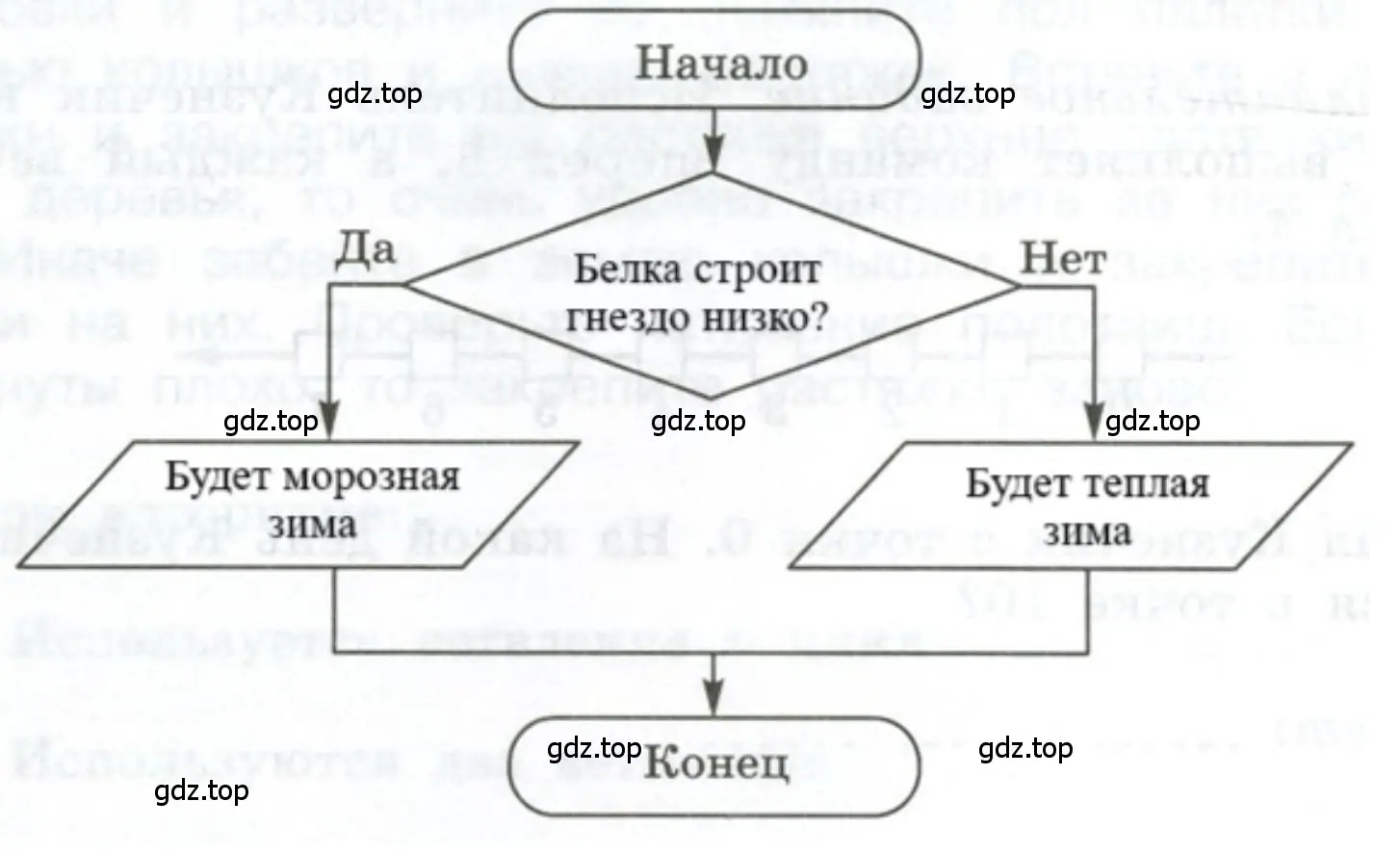 Представить в форме блок-схемы народную примету