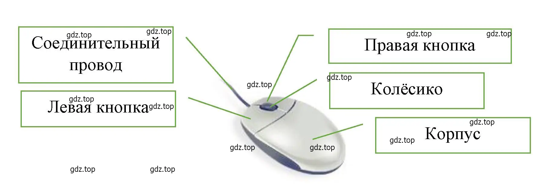 Сделать выноски основных частей мыши