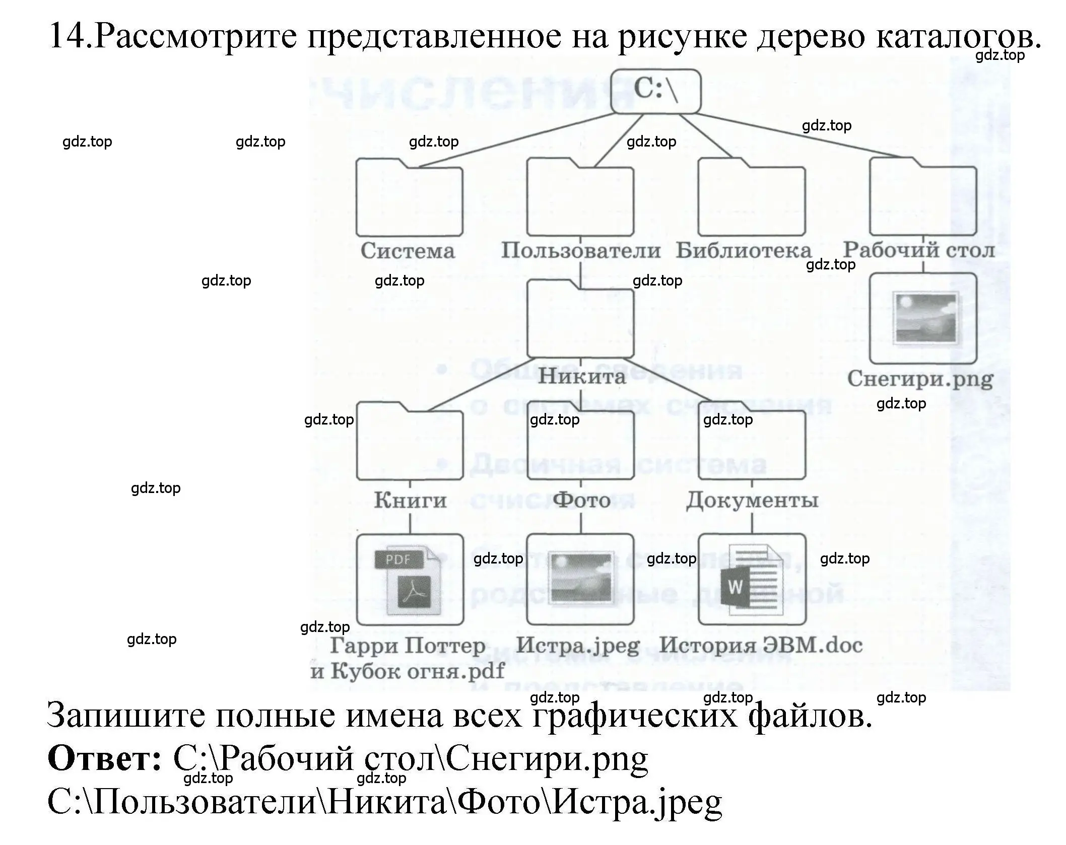 Решение номер 14 (страница 13) гдз по информатике 8 класс Босова, Босова, рабочая тетрадь 1 часть