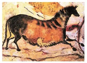 Рисунок. Лошадь. Рисунок первобытного человека в пещере Ласко