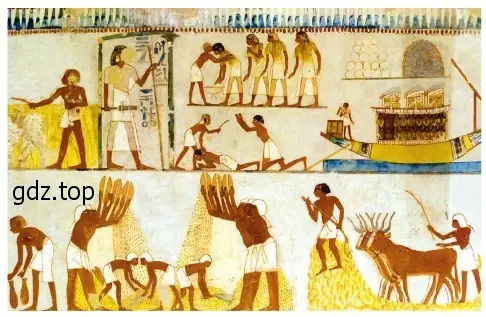 Рисунок. Древнеегипетские настенные росписи
