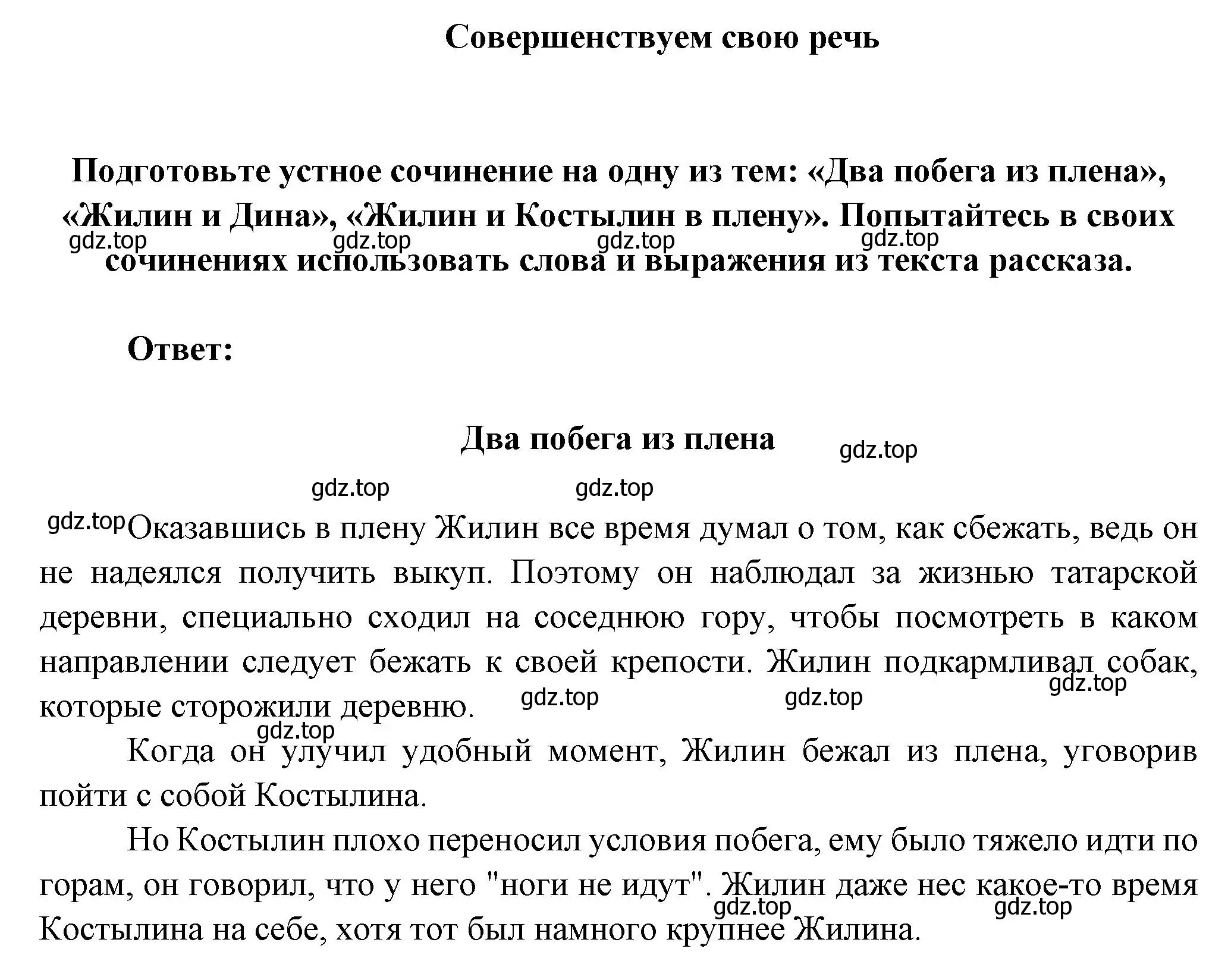 Решение  Совершенствуем свою речь (страница 234) гдз по литературе 5 класс Коровина, Журавлев, учебник