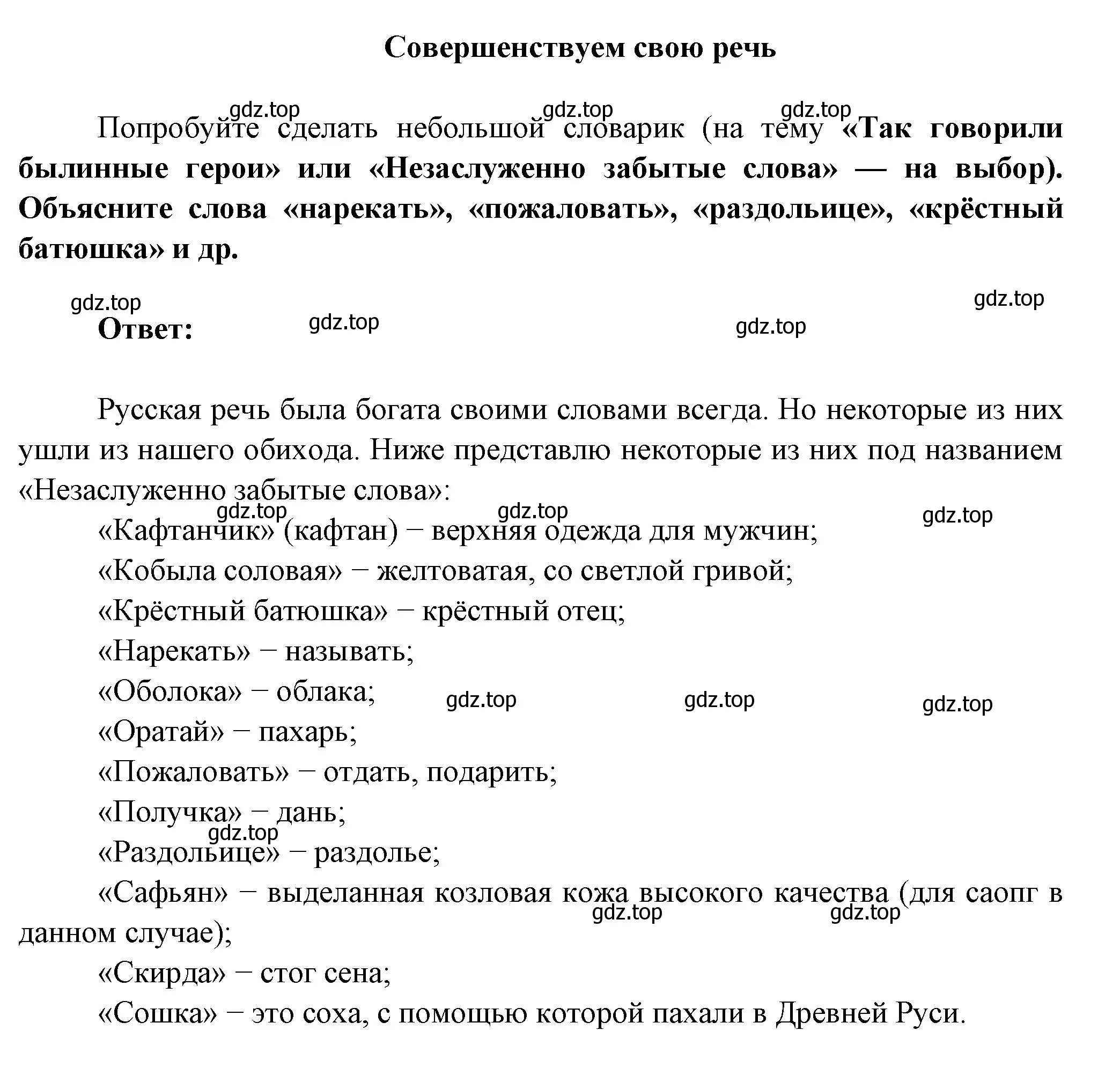 Решение  Совершенствуем свою речь (страница 51) гдз по литературе 6 класс Полухина, Коровина, учебник