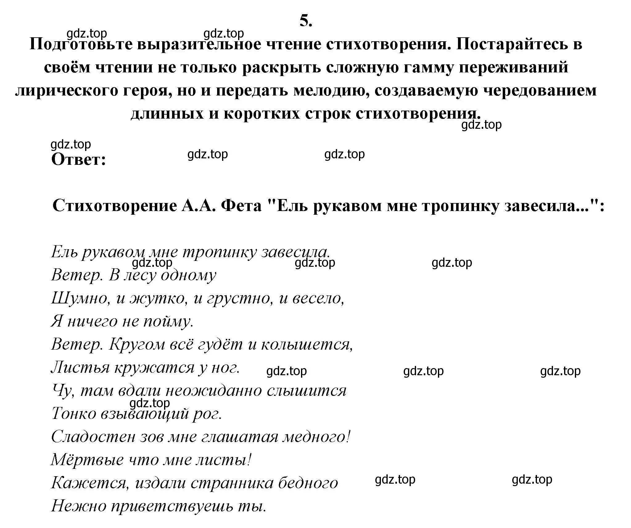 Решение номер 5 (страница 263) гдз по литературе 6 класс Полухина, Коровина, учебник