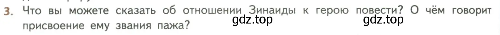 Условие номер 3 (страница 370) гдз по литературе 8 класс Коровина, Журавлев, учебник 1 часть