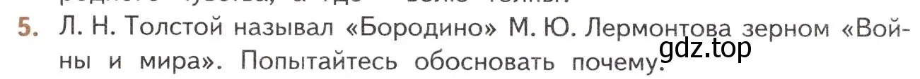 Условие номер 5 (страница 203) гдз по литературе 10 класс Лебедев, учебник 2 часть