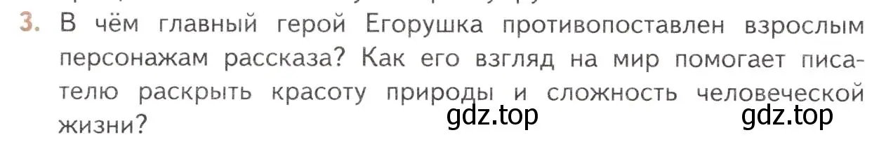 Условие номер 3 (страница 304) гдз по литературе 10 класс Лебедев, учебник 2 часть