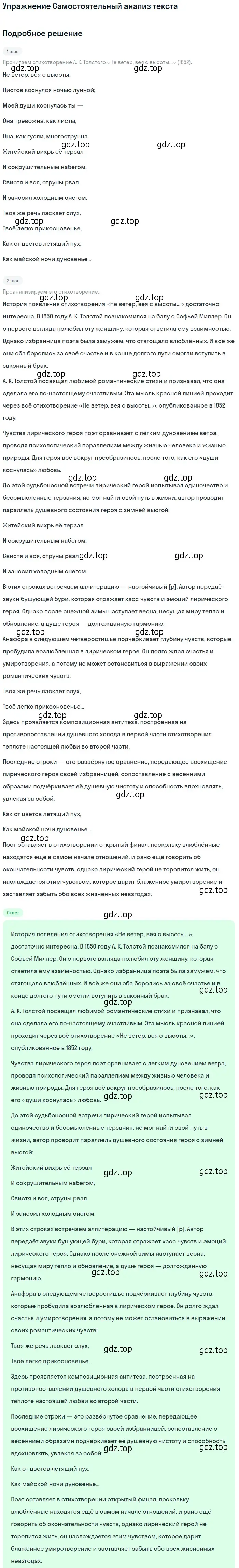 Решение  Самостоятельный анализ текста (страница 13) гдз по литературе 10 класс Зинин, Сахаров, учебник 2 часть