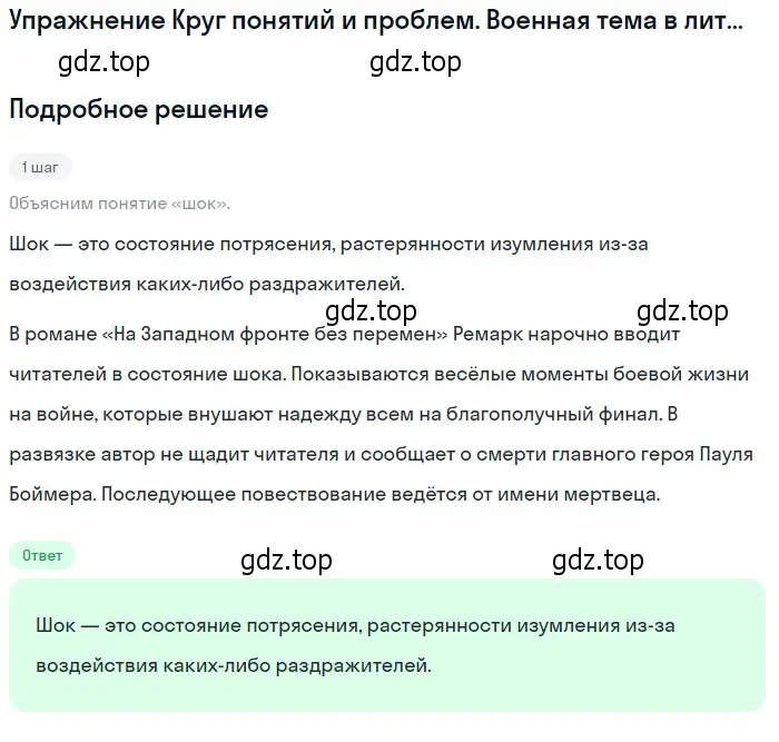 Решение  шок (страница 29) гдз по литературе 11 класс Михайлов, Шайтанов, учебник 1 часть