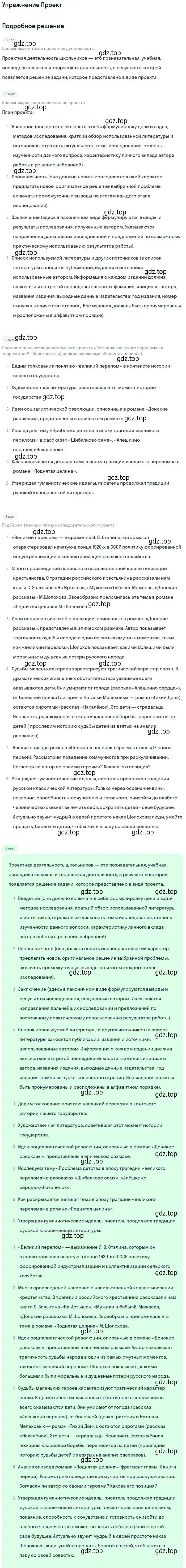 Решение  Проект (страница 215) гдз по литературе 11 класс Михайлов, Шайтанов, учебник 2 часть