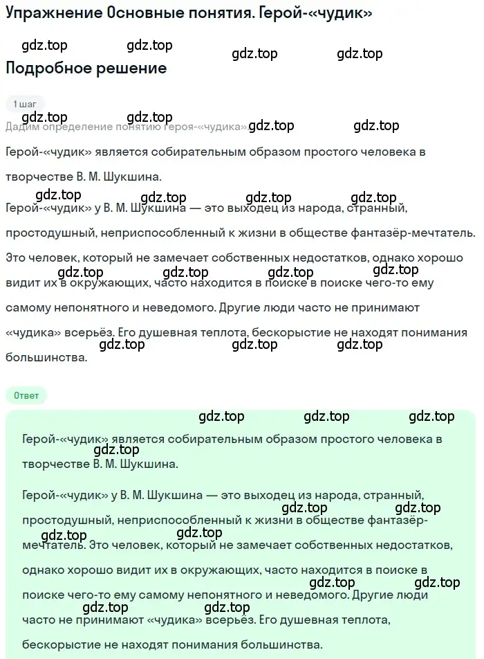 Решение  Герой-«чудик» (страница 365) гдз по литературе 11 класс Зинин, Чалмаев, учебник 2 часть