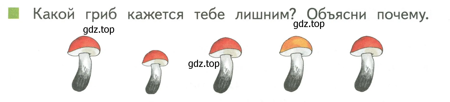 Условие номер 5 (страница 29) гдз по математике 1 класс Дорофеев, Миракова, учебник 1 часть