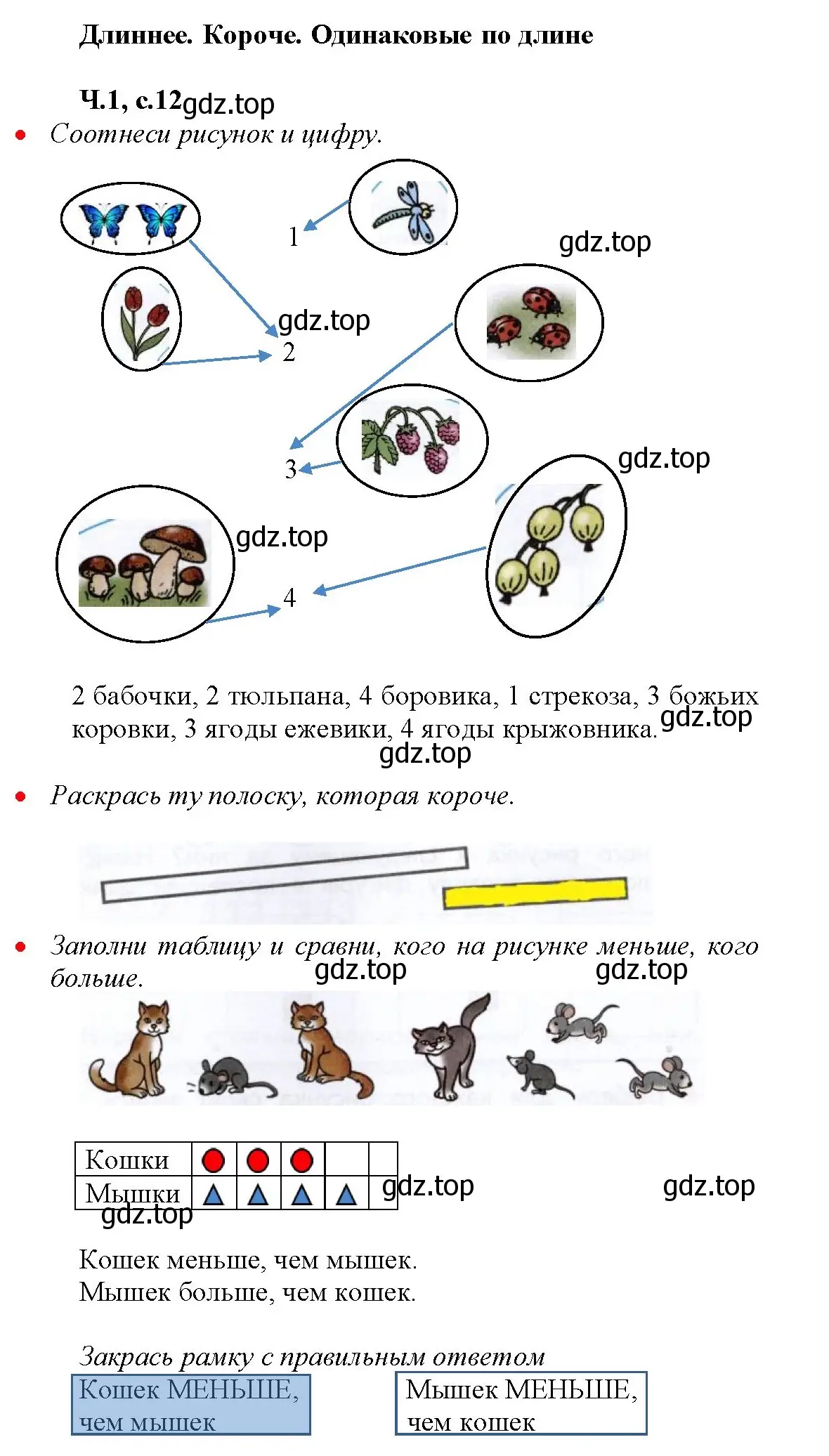 Решение номер 12 (страница 12) гдз по математике 1 класс Моро, Волкова, рабочая тетрадь 1 часть