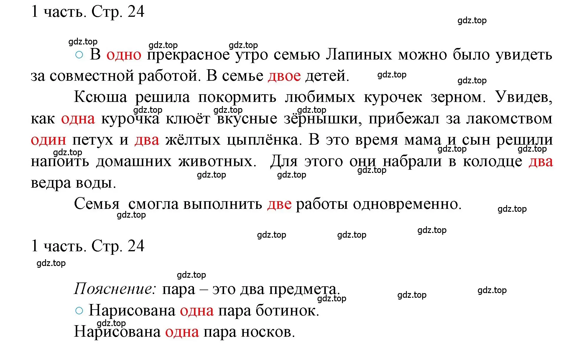 Решение номер 24 (страница 24) гдз по математике 1 класс Моро, Волкова, учебник 1 часть