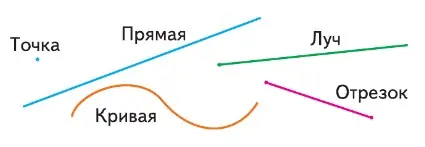 Проведи по линейке прямую линию. Её можно продолжить в обе стороны. Теперь начерти отрезок.