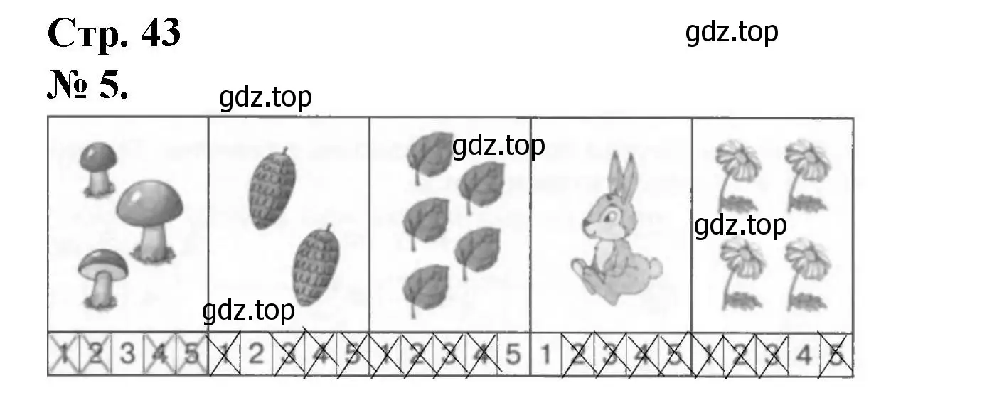 Решение номер 5 (страница 43) гдз по математике 1 класс Петерсон, рабочая тетрадь 1 часть