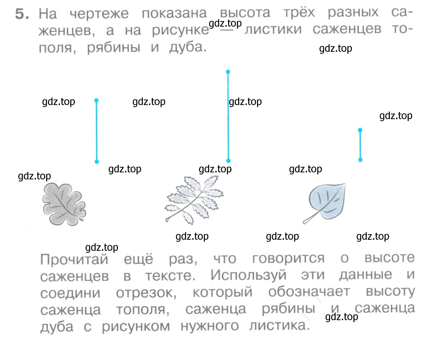 Условие номер 5 (страница 64) гдз по математике 2 класс Волкова, тетрадь учебных достижений