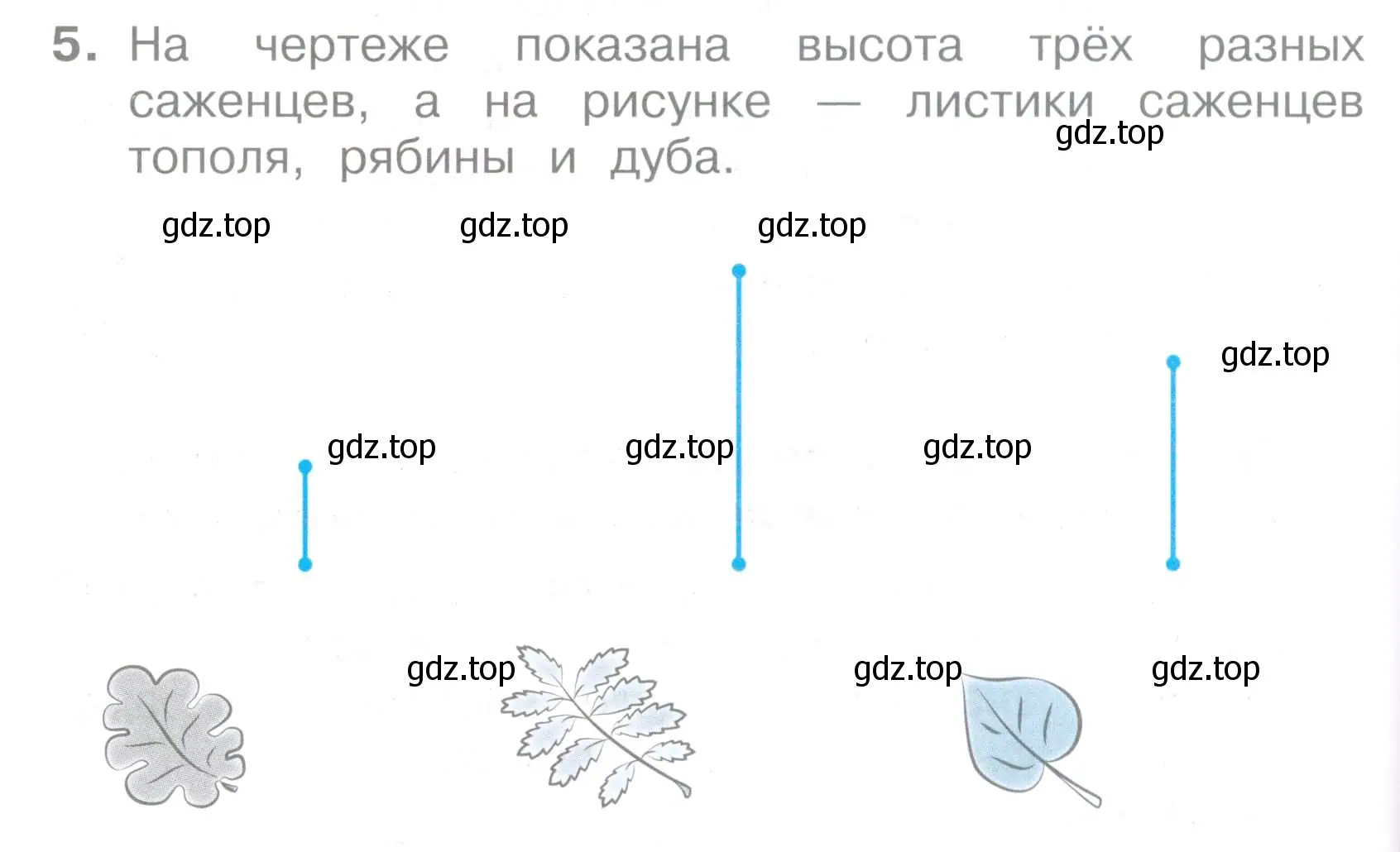 Условие номер 5 (страница 66) гдз по математике 2 класс Волкова, тетрадь учебных достижений