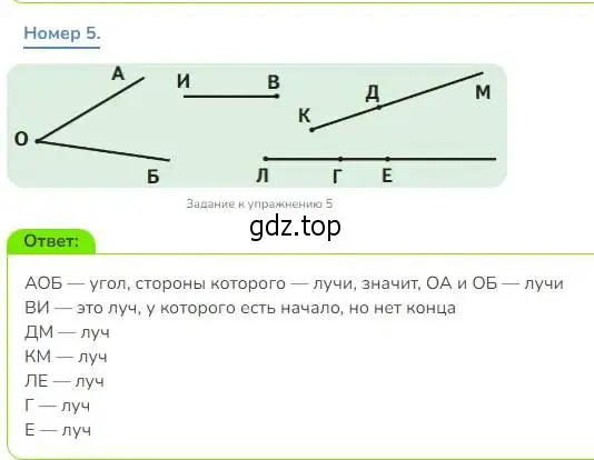 Решение номер 5 (страница 31) гдз по математике 3 класс Дорофеев, Миракова, учебник 1 часть