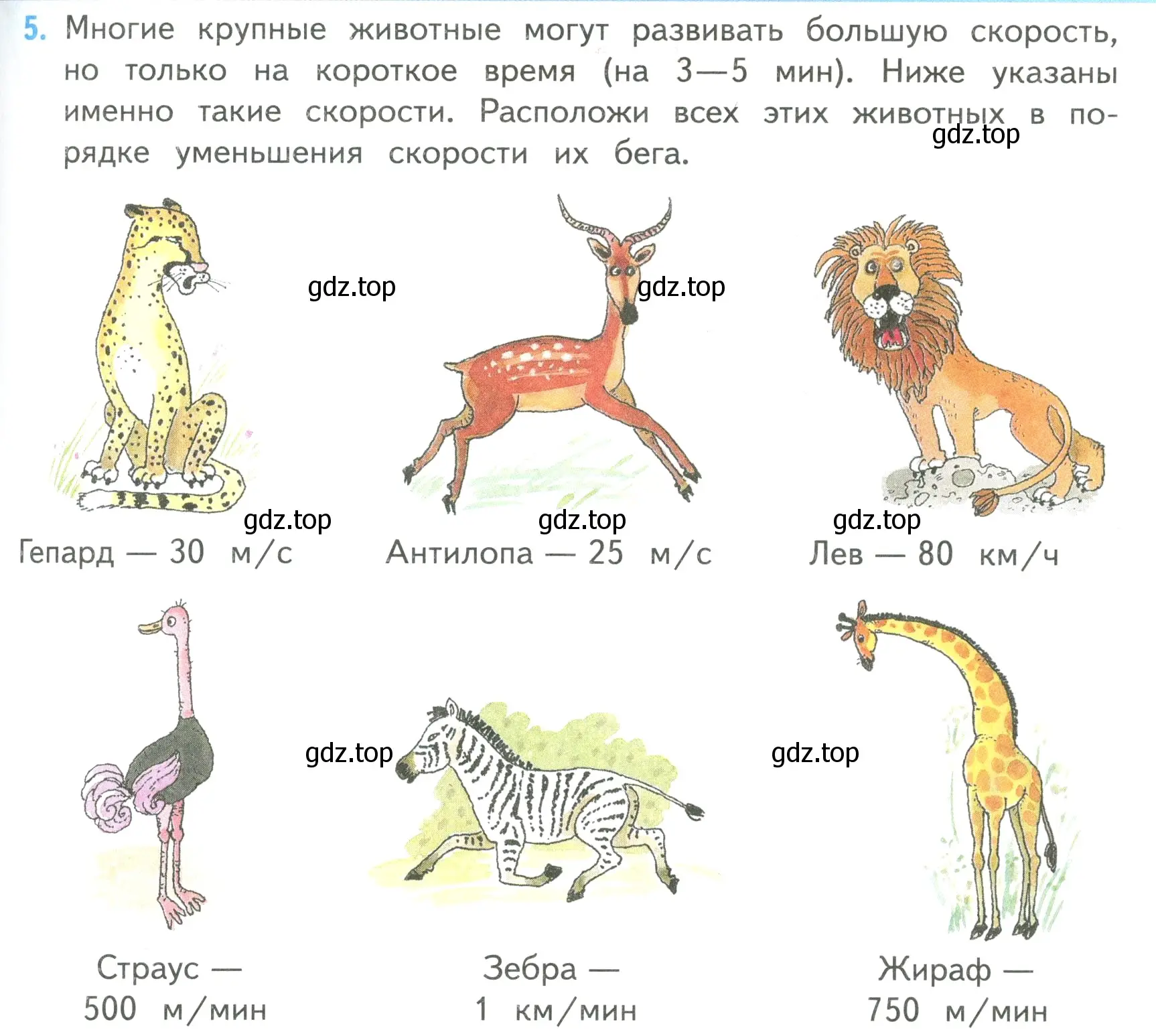 Условие номер 5 (страница 81) гдз по математике 4 класс Моро, Бантова, учебник 2 часть