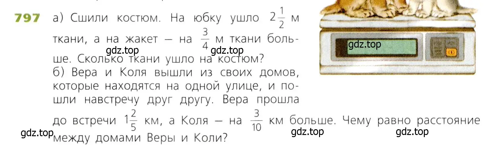 Условие номер 797 (страница 203) гдз по математике 5 класс Дорофеев, Шарыгин, учебник