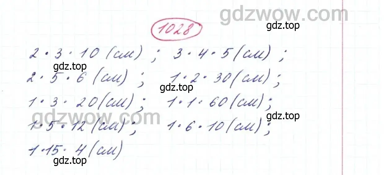 Решение 9. номер 1028 (страница 273) гдз по математике 5 класс Дорофеев, Шарыгин, учебник