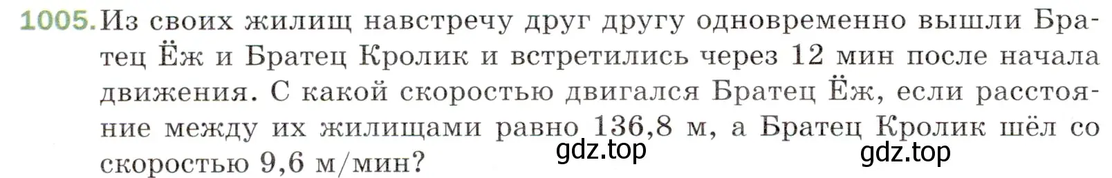 Условие номер 1005 (страница 244) гдз по математике 5 класс Мерзляк, Полонский, учебник