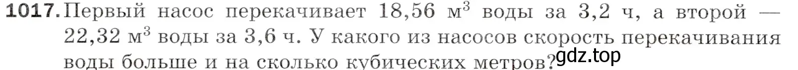 Условие номер 1017 (страница 246) гдз по математике 5 класс Мерзляк, Полонский, учебник