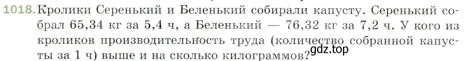 Условие номер 1018 (страница 246) гдз по математике 5 класс Мерзляк, Полонский, учебник