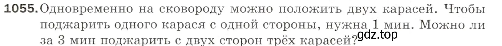 Условие номер 1055 (страница 252) гдз по математике 5 класс Мерзляк, Полонский, учебник