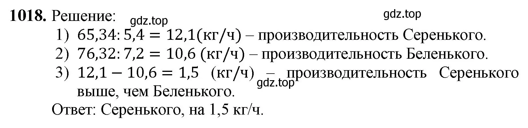 Решение номер 1018 (страница 246) гдз по математике 5 класс Мерзляк, Полонский, учебник