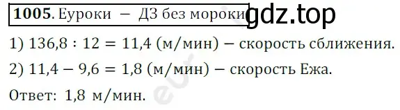 Решение 3. номер 1005 (страница 244) гдз по математике 5 класс Мерзляк, Полонский, учебник