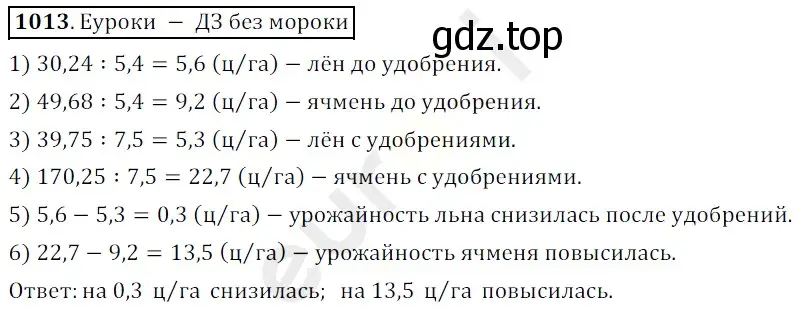 Решение 3. номер 1013 (страница 245) гдз по математике 5 класс Мерзляк, Полонский, учебник