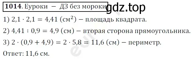 Решение 3. номер 1014 (страница 246) гдз по математике 5 класс Мерзляк, Полонский, учебник