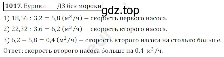 Решение 3. номер 1017 (страница 246) гдз по математике 5 класс Мерзляк, Полонский, учебник