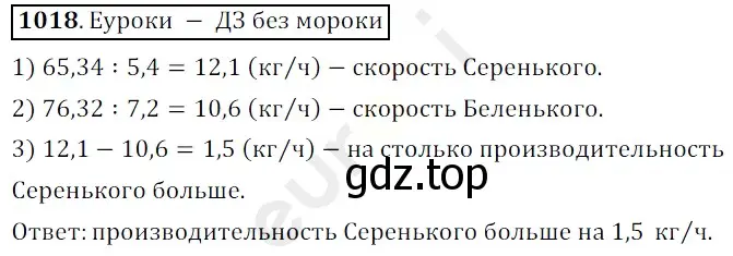 Решение 3. номер 1018 (страница 246) гдз по математике 5 класс Мерзляк, Полонский, учебник