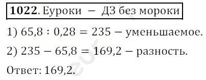 Решение 3. номер 1022 (страница 246) гдз по математике 5 класс Мерзляк, Полонский, учебник