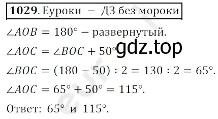 Решение 3. номер 1029 (страница 247) гдз по математике 5 класс Мерзляк, Полонский, учебник