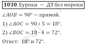 Решение 3. номер 1030 (страница 247) гдз по математике 5 класс Мерзляк, Полонский, учебник