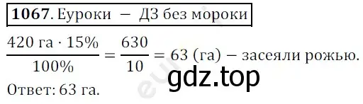 Решение 3. номер 1067 (страница 256) гдз по математике 5 класс Мерзляк, Полонский, учебник