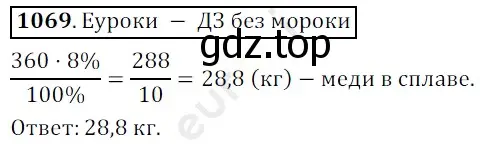 Решение 3. номер 1069 (страница 256) гдз по математике 5 класс Мерзляк, Полонский, учебник