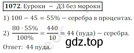 Решение 3. номер 1072 (страница 256) гдз по математике 5 класс Мерзляк, Полонский, учебник