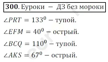 Решение 3. номер 300 (страница 82) гдз по математике 5 класс Мерзляк, Полонский, учебник